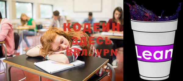 ПСИЛОЦИБИНОВЫЕ ГРИБЫ Каменка