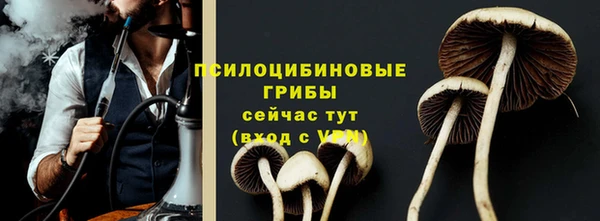 сатива Пролетарск