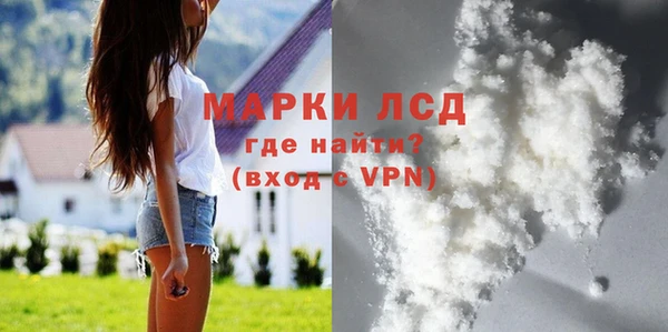 сатива Пролетарск