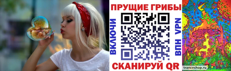 Галлюциногенные грибы Cubensis  купить наркотики цена  MEGA зеркало  Льгов 